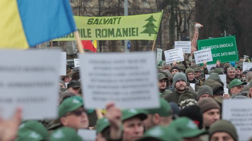 FOTO Sindicatele din silvicultură protestează joi în fața Guvernului
