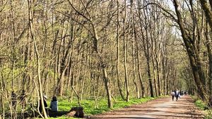 Mircea Fechet, fost ministru al Mediului: Rechinii imobiliari înoată nestingheriţi prin pădurea Băneasa / Contractul care prevede deschiderea circulaţiei auto pe drumul forestier din pădure trebuie reziliat de urgenţă, iar cei care l-au semnat să răspundă în faţa legii