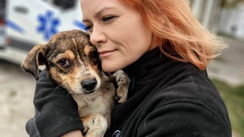 Mitul câinilor de rasă, spulberat de medicul veterinar Emma Stratulat: De ce un metis poate fi mai inteligent decât un câine cu pedigree / Povestea câinelui Chalappa: A fost găsit în tomberon, iar acum salvează oameni de sub dărâmături (FOTO)