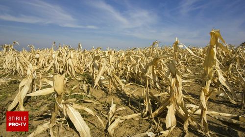 Zona din România care va fi cea mai afectată de furtuni și secetă în următoarele decenii. „Vom avea o creștere mult mai mare”