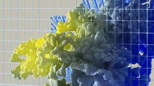 DeepMind, un nou pas important în știință: Inteligența Artificială a descoperit structura a 200 de milioane de proteine, ceea ce deschide calea către dezvoltarea de noi medicamente și tehnologii
