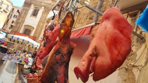 Locuitorii oraşului Palermo nu vor mai consuma carne şi ouă timp de 15 zile din cauza unui incendiu