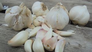Producătorii de usturoi din Buzău vor să scoată pe piață produse de nișă / Usturoiul afumat şi ”ţuica” din usturoi ar urma să compenseze profitul tot mai mic de pe urma acestei culturi