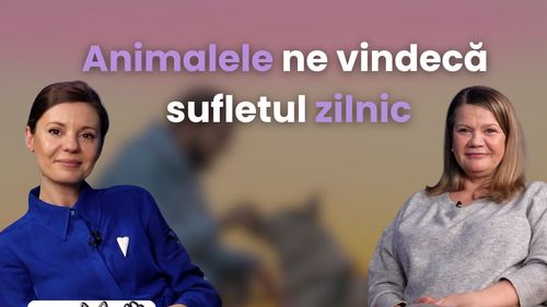 Cum să treci peste durerea pierderii unui animal de companie: Sfaturi de la psihoterapeutul Carla Buleanu (VIDEO)