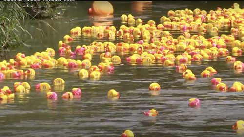 4.000 de rățuște din cauciuc, lansate simultan pe apa Crișului Repede, din zona Podului Intelectualilor din Oradea, de 1 iunie