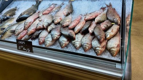 Mall Veranda şi comercianţii din Piaţa Obor din Bucureşti, verificaţi de ANPC: Amenzi de 140.000 de lei după ce au fost găsite produse expirate, peşte ţinut la temperatura mediului, spaţii frigorifice murdare