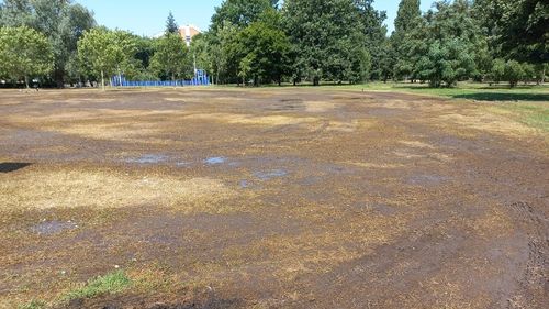 VIDEO Cel mai mare parc din Ploiești, cedat Consiliului Județean după o ședință cu scandal a primăriei