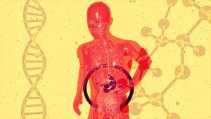 Premieră medicală: Un ficat de porc modificat genetic a funcționat timp de 10 zile la un pacient aflat în moarte cerebrală