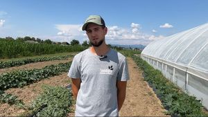 VIDEO | Rețeta unui tânăr inginer horticol din Maramureș pentru legume sănătoase / Dacian Tînc: „Azotul oferă o creștere mai voluminoasă a plantei, dar o dezechilibrează. Efectul final este o cantitate mare de nitriți și nitrați în produs”