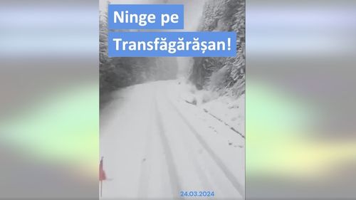 VIDEO Cod galben de ninsoare la munte / Deja ninge pe Transfăgărășan