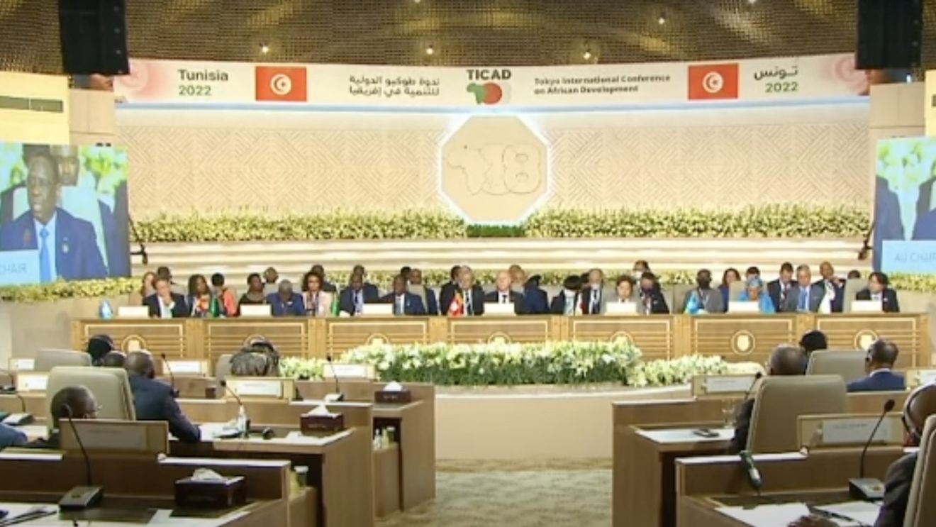 Declarația TICAD: Războiul din Ucraina a provocat o criză alimentară în Africa /Japonia va aloca 30 de miliarde de dolari în următorii trei ani pentru dezvoltarea Africii