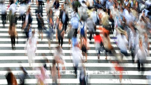 TVR: Zeci de firme pretind că oferă diplome de calificare fără examene și fără cursuri