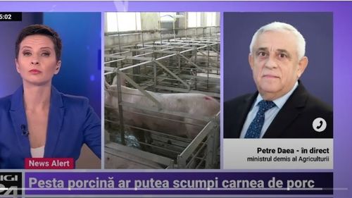 AUDIO Petre Daea, ieșire nervoasă în direct după ce României i-a fost interzis să exporte carne de porc în UE din cauza gestionării deficitare a pestei porcine