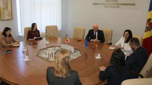 Republica Moldova vrea să restricţioneze importurile de cereale ucrainene și a anunțat oficial UE despre această intenție