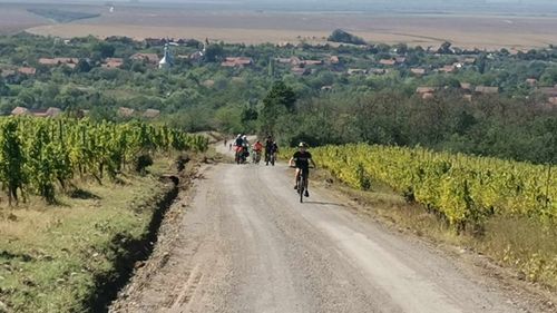 FOTO Călător în Banat. Tur ciclist pe Drumul Vinului: din Buziaș la Silagiu, pe un pitoresc traseu prin vii și crame