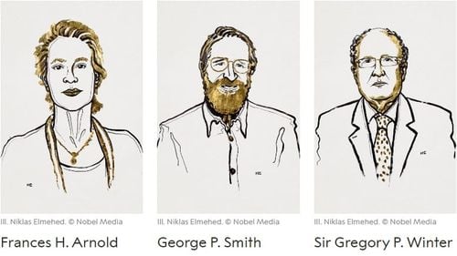 Premiul Nobel pentru Chimie 2018 a fost acordat cercetătorilor Frances H. Arnold, George P. Smith şi Gregory P. Winter