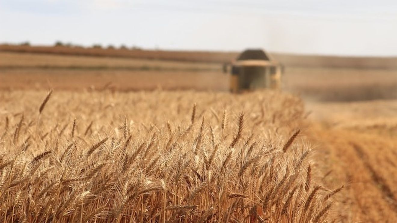 După Polonia, și Ungaria a interzis importurile de cereale şi alte produse alimentare din Ucraina