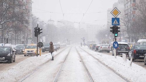 Nevoia digitalizării în agribusiness: Cum pot companiile să își crească productivitatea cu ajutorul tehnologiei