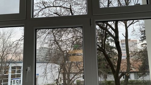Cei mai mulți fug de carantină. La Vaslui s-a întâmplat invers: Un bărbat care a refuzat să părăsească un centru de carantină după 14 zile, evacuat cu ajutorul forţelor de ordine