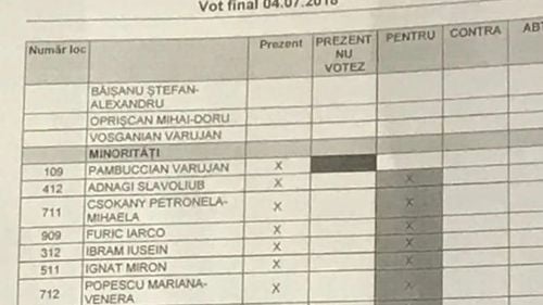 FOTO Cine a votat alături de PSD-ALDE pentru Codul penal: 9 deputați ai minorităților și unul de la PMP