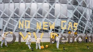 Organizația Greenpeace, care se opune puternic producției de gaze în Marea Neagră, în topul bugetelor de reclamă politică pe Facebook. ONG-ul a cheltuit mai mult decât PSD, PNL și AUR în perioada mai - octombrie 