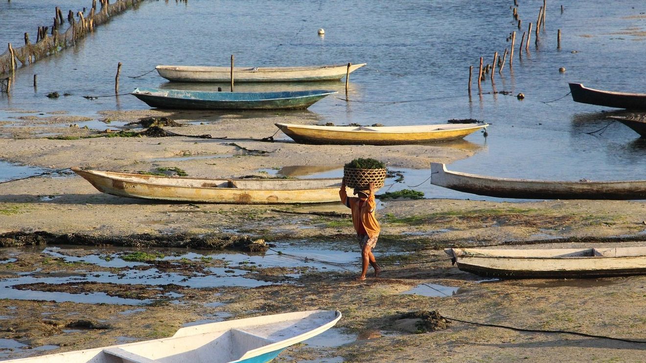 Insula Bali declară stare de urgenţă din cauza secetei, timp de 14 zile / Au izbucnit incendii de vegetaţie în mai multe zone