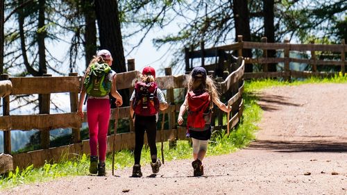 Premierul Ciolacu anunță că finanțează programul școlar „Săptămâna verde” cu echivalentul a 5 covrigi și jumătate per elev: „Alocăm acestui proiect un buget de 100 de milioane de lei”