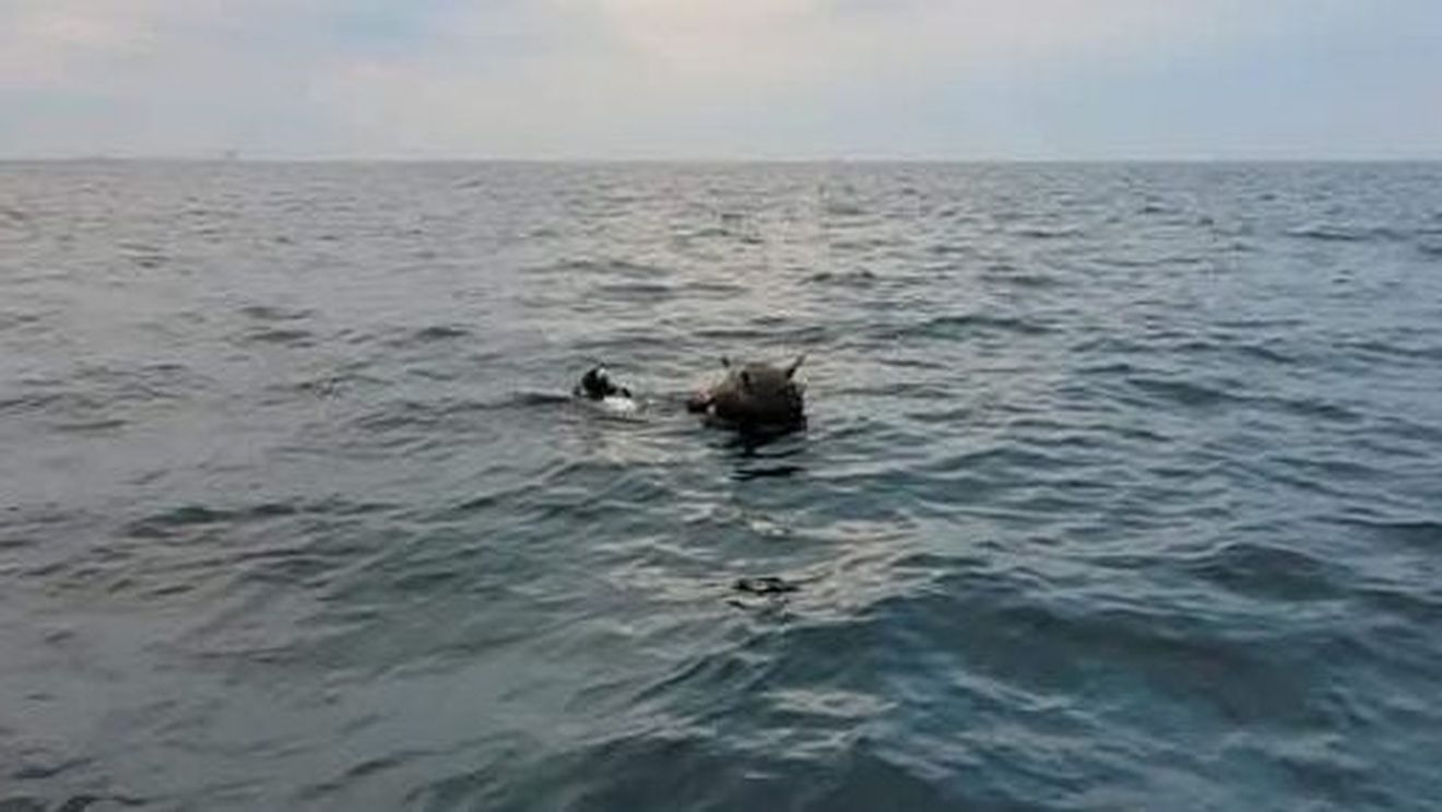 Ministerul Apărării contrazice Rusia privind proveniența minelor din Marea Neagră: Situația creată de minele marine în derivă are la origine exclusiv acțiunile Federației Ruse împotriva unui stat suveran și independent, Ucraina