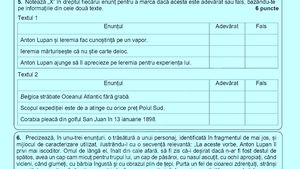 Subiecte Evaluare Națională 2025 – Limba și literatura română. Elevii au avut de scris o compunere despre o întâmplare din excursie, la subiectul II