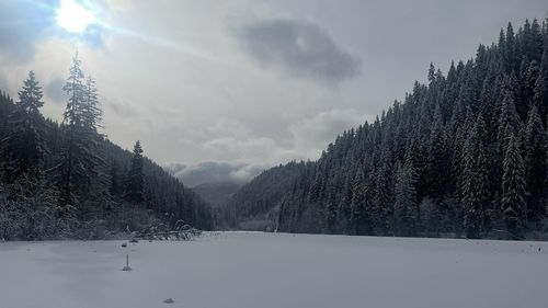 Întreruperi de curent în stațiunea Lacu Roşu şi orașul Gheorgheni din cauza ninsorii