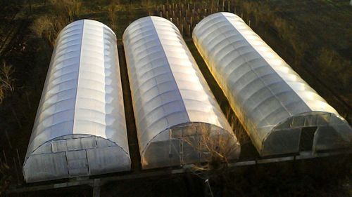 Legumicultorii coboară acoperișurile solariilor, pentru a face față cheltuielilor / ”Încercăm să mărim prețurile, dar nu mai merge, că oamenii nu mai vor să cumpere că nu au bani”