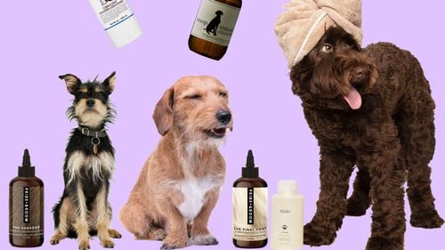 Șampoane 2 in 1 pentru câini și oameni? Brandurile care fac skincare acum fac și șampon sau balsam pentru câini / The Ouai, Kiehl's, Aesop și PRIDE+GROOM