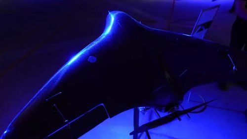 VIDEO Ucraina lansează o dronă interceptor pentru neutralizarea dronelor Shahed folosite de Rusia