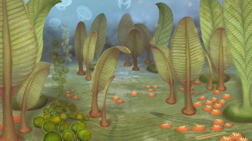 “Grădina cu Ediacara” – viața multicelulară străveche din Dobrogea Centrală, povestită de cercetătoarea Antoneta Seghedi, de la GeoEcoMar