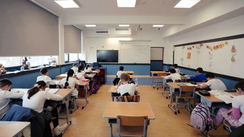 Felul în care Guvernul a suspendat voucherele culturale pentru elevi anulează, practic, întreg programul – analiza unei măsuri țintite asupra elevilor