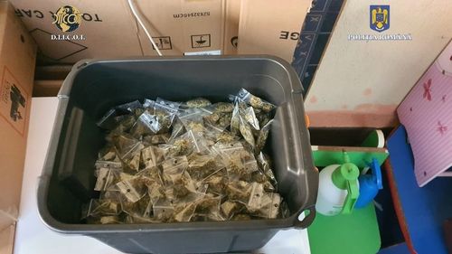 10 persoane reţinute la Constanța sub acuzația de trafic de droguri / În urma percheziţiilor, poliţiştii au găsit cannabis, cocaină, MDMA şi ecstasy