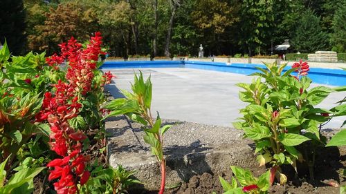 Weekend dedicat pasionaţilor de vehicule electrice, iubitorilor de plimbări cu bicicleta şi excursii, în Parcul Regele Mihai I (Herăstrău)