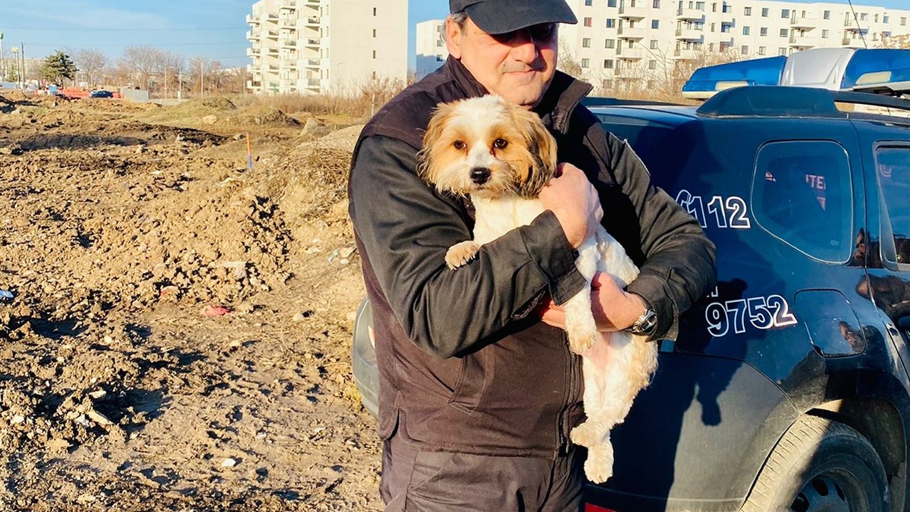 O cățelușă furată în urmă cu doi ani a fost găsită și redată stâpânului cu ajutorul cipului de identificare