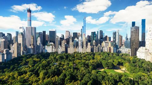 Statul New York aprobă transformarea cadavrelor umane în compost