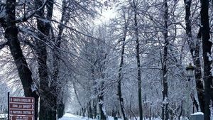 Ar trebui deszăpezite aleile din parcuri? Amenda dată Primăriei Capitalei de primăria Sectorului 4 pentru parcurile Carol și Tineretului, în baza regulii privind „curățarea trotuarelor de gheață și zăpadă”, considerată de ALPAB „un abuz”