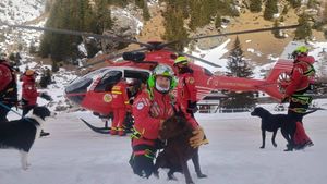 Câinii Salvamont: Acolo unde speranța „prinde miros”. În 2025, eroii cu blană au participat la peste 100 de misiuni desfășurate în mediul natural și în avalanșă (VIDEO)