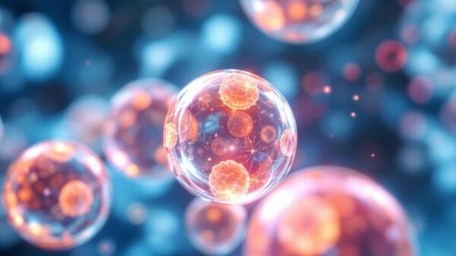 Ce sunt super celulele stem? Un experiment simplu schimbă totul în știința celulelor