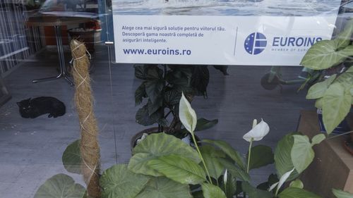 Se pregătește o nouă companie de stat? Marcel Ciolacu, după insolvenţa Euroins: Am vândut toate firmele de asigurări / Au obligaţia cei de la CEC, de la EximBank să creeze pârghiile de care au nevoie românii ca statul român să poată interveni eficient