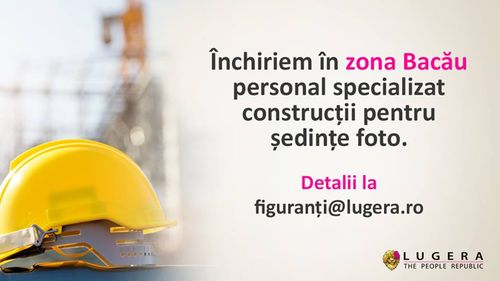Guvernul, trollat din nou de către una dintre cele mai mari companii de HR din Româna: Închiriem în zona Bacău personal specializat construcții pentru ședințe foto