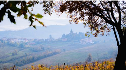 O excursie printre vii și spumante: Oltrepò Pavese, destinația italiană pe care nu știai că trebuie s-o pui pe hartă (GALERIE FOTO)