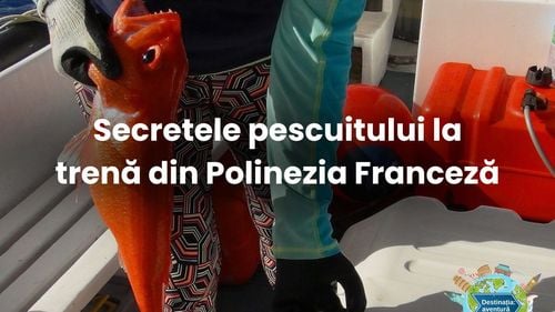 Secretele pescuitului la trenă din Polinezia Franceză: Experți care vânează comori marine!