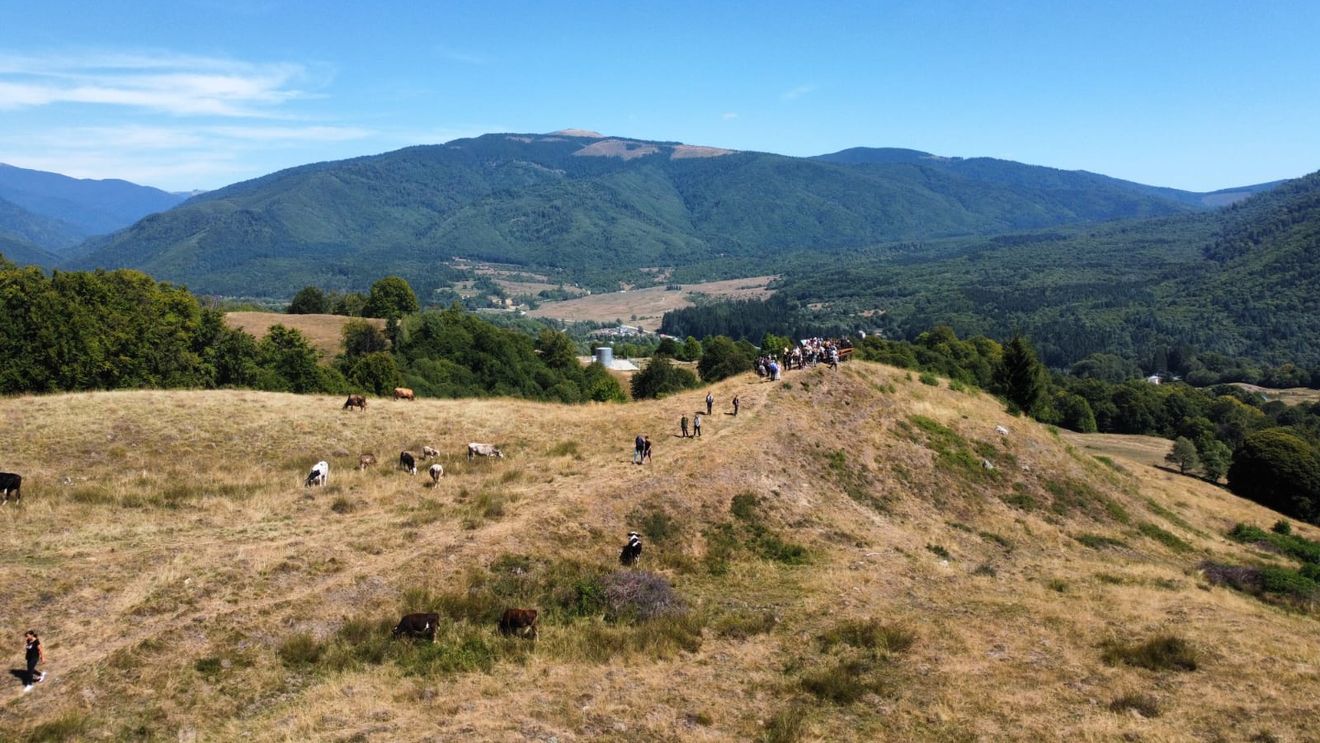 FOTO O poteca tematică de 3,7 km realizată în zona împădurită, cu lacuri și fagi seculari din Nucșoara/ Unde începe traseul „Arhitecții naturii”