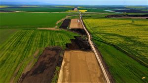 Probleme cu grinzile de la poduri pe Autostrada Moldovei Ploiești – Buzău: CNAIR caută un expert tehnic pentru verificarea proiectului făcut de Consitrans și ce tipuri de grinzi poate folosi Pizzarotti – Retter la poduri / Expertiză la studiul geotehnic care a ratat „orezăria” de pe traseu