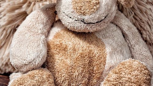 Droguri ascunse într-o jucărie de pluș, introduse în ţară pentru a fi vândute la un festival muzical din Arad / Un bărbat a fost arestat preventiv, doi minori sunt cercetați sub control judiciar