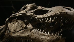 Cuib de dinozaur, cu ouă vechi de 150 de milioane de ani din Jurasicul târziu, descoperit în Portugalia